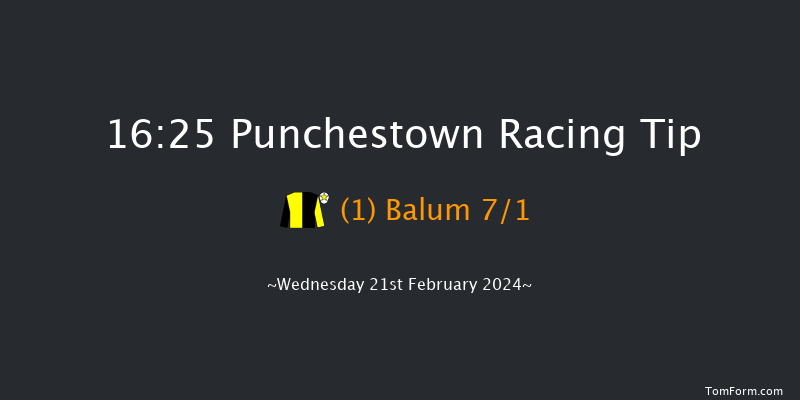 Punchestown  16:25 Handicap Hurdle 20f Sun 18th Feb 2024