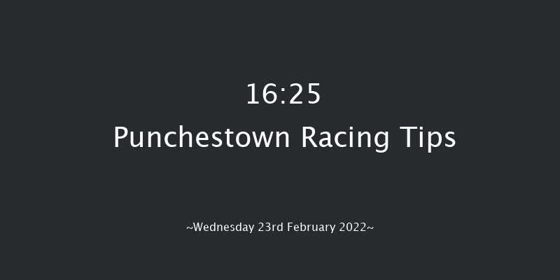 Punchestown 16:25 Handicap Hurdle 20f Sun 13th Feb 2022