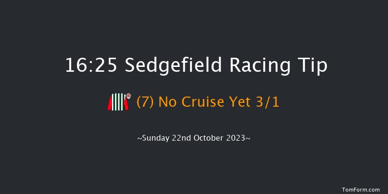 Sedgefield 16:25 Handicap Chase (Class 2) 29f Wed 11th Oct 2023