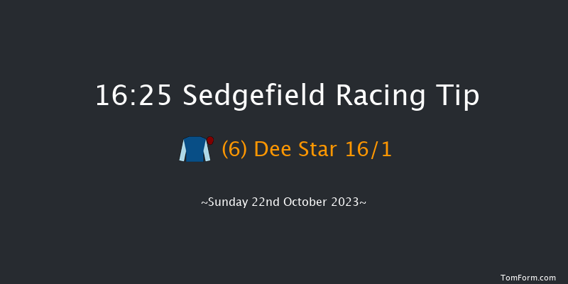 Sedgefield 16:25 Handicap Chase (Class 2) 29f Wed 11th Oct 2023