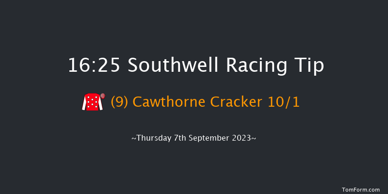 Southwell 16:25 Handicap Hurdle (Class 5) 16f Wed 6th Sep 2023