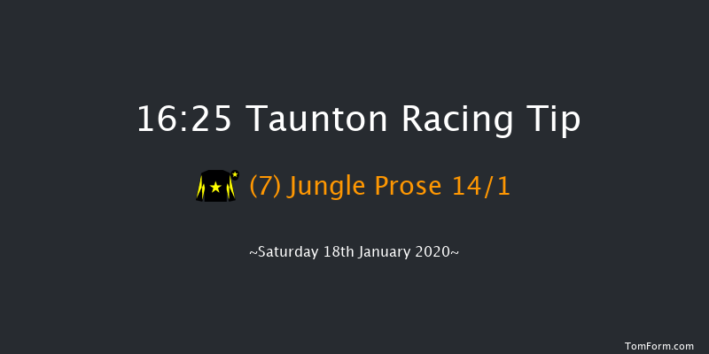 Taunton 16:25 NH Flat Race (Class 5) 16f Tue 7th Jan 2020