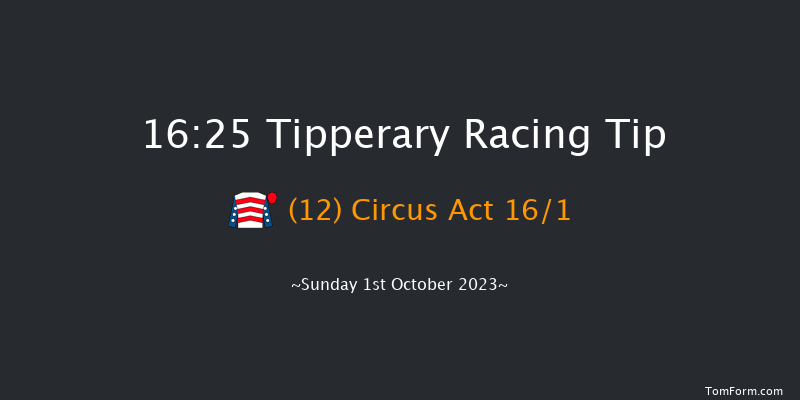 Tipperary 16:25 Handicap Hurdle 16f Sun 3rd Sep 2023