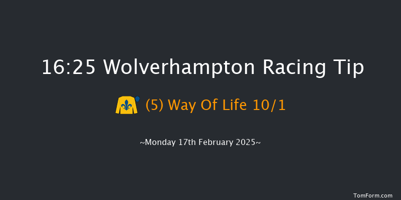 Wolverhampton  16:25 Handicap (Class 3) 10f Tue 11th Feb 2025