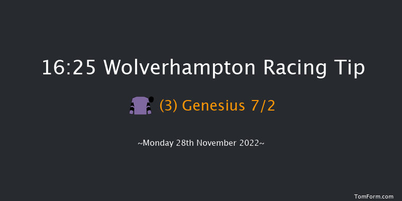 Wolverhampton 16:25 Handicap (Class 5) 12f Sat 26th Nov 2022