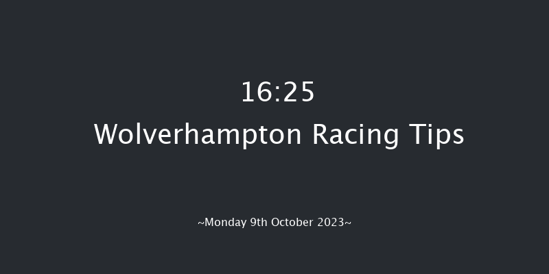 Wolverhampton 16:25 Handicap (Class 5) 10f Sat 7th Oct 2023