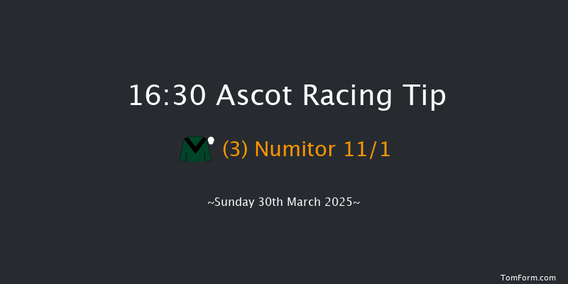 Ascot 16-30 (Class 2) 23f Sat 15th Feb 2025