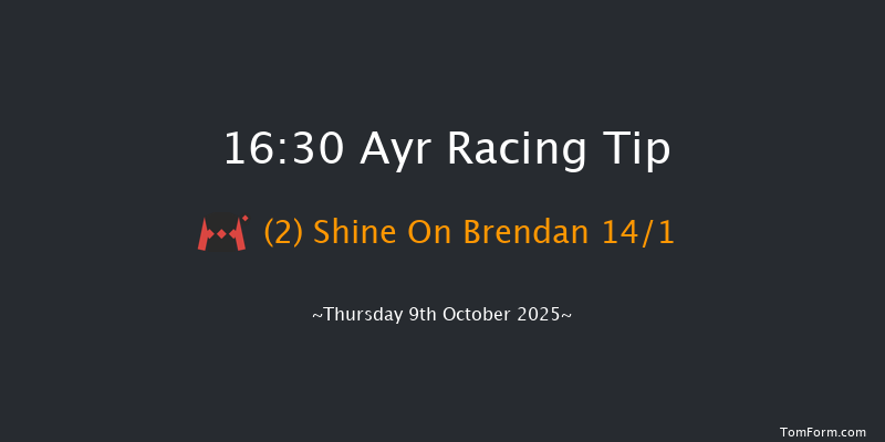 Ayr 16-30 (Class 6) 8f Tue 30th Sep 2025