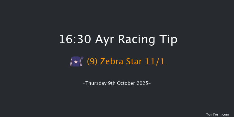 Ayr 16-30 (Class 6) 8f Tue 30th Sep 2025