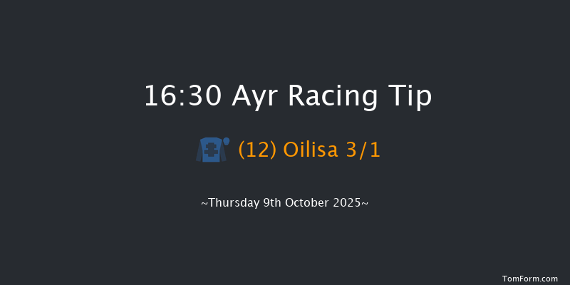 Ayr 16-30 (Class 6) 8f Tue 30th Sep 2025