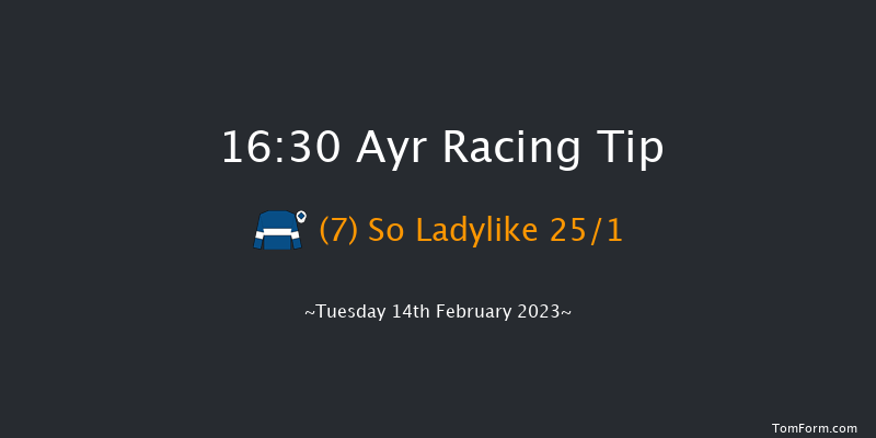 Ayr 16:30 Handicap Chase (Class 5) 24f Wed 1st Feb 2023