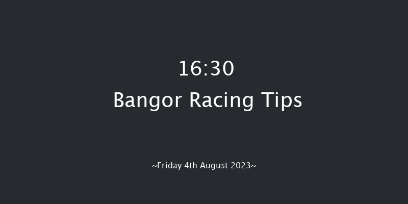 Bangor 16:30 Handicap Hurdle (Class 5) 17f Sat 10th Jun 2023
