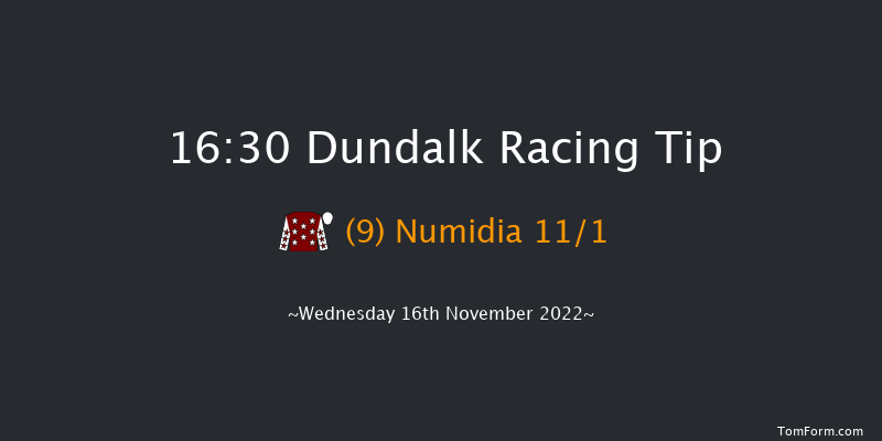 Dundalk 16:30 Handicap 11f Fri 11th Nov 2022