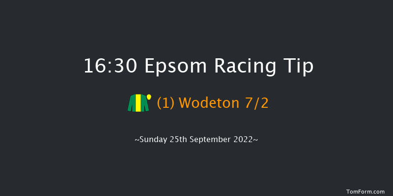 Epsom 16:30 Handicap (Class 4) 8f Thu 8th Sep 2022