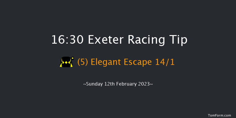 Exeter 16:30 Handicap Chase (Class 2) 24f Wed 1st Feb 2023