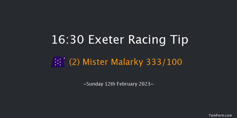 Exeter 16:30 Handicap Chase (Class 2) 24f Wed 1st Feb 2023