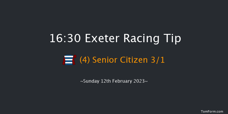 Exeter 16:30 Handicap Chase (Class 2) 24f Wed 1st Feb 2023