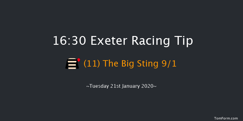 Exeter 16:30 NH Flat Race (Class 5) 17f Wed 1st Jan 2020