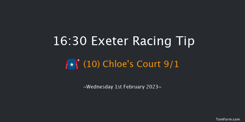 Exeter 16:30 Handicap Hurdle (Class 4) 23f Tue 10th Jan 2023