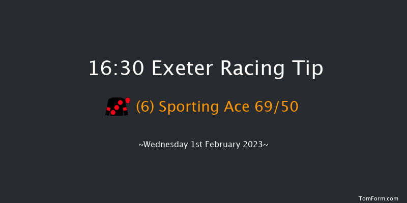 Exeter 16:30 Handicap Hurdle (Class 4) 23f Tue 10th Jan 2023