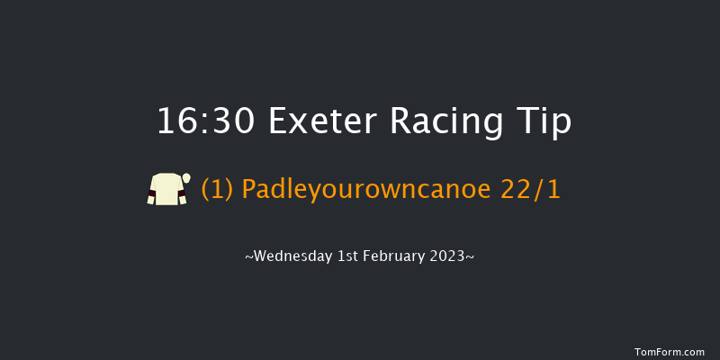Exeter 16:30 Handicap Hurdle (Class 4) 23f Tue 10th Jan 2023