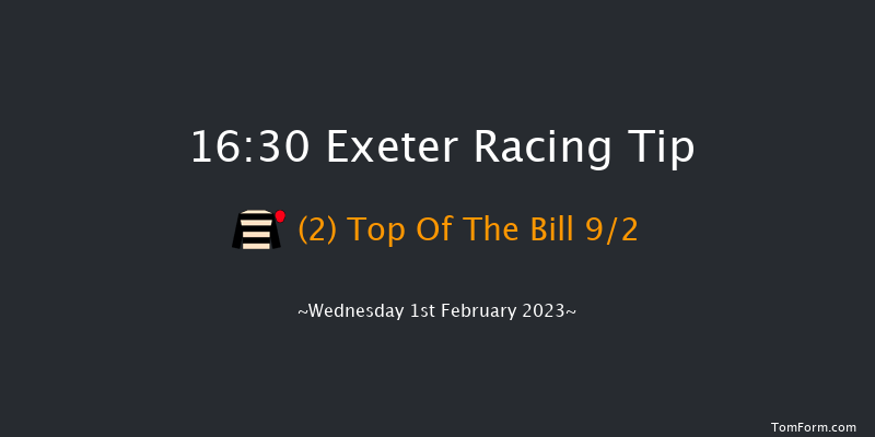 Exeter 16:30 Handicap Hurdle (Class 4) 23f Tue 10th Jan 2023