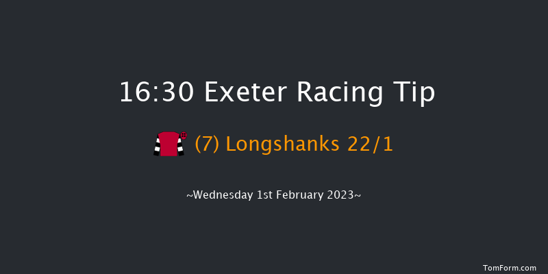 Exeter 16:30 Handicap Hurdle (Class 4) 23f Tue 10th Jan 2023