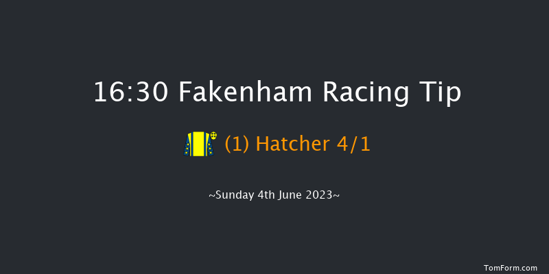 Fakenham 16:30 Handicap Chase (Class 3) 21f Tue 9th May 2023