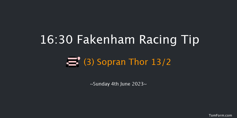 Fakenham 16:30 Handicap Chase (Class 3) 21f Tue 9th May 2023