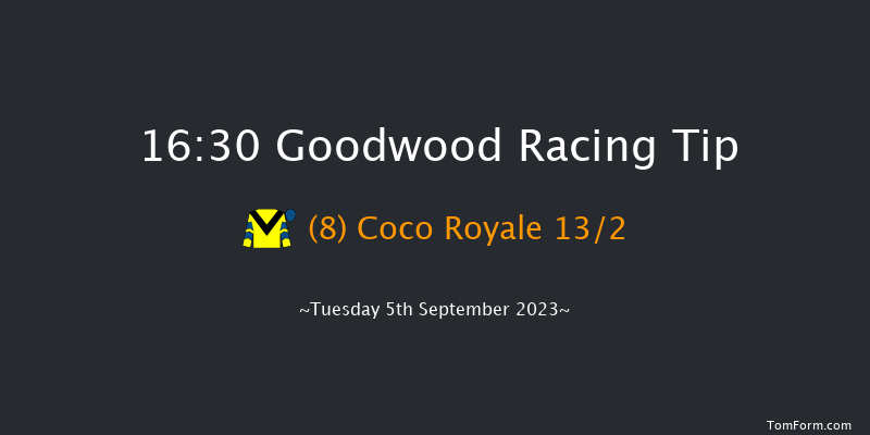 Goodwood 16:30 Stakes (Class 4) 10f Sun 27th Aug 2023