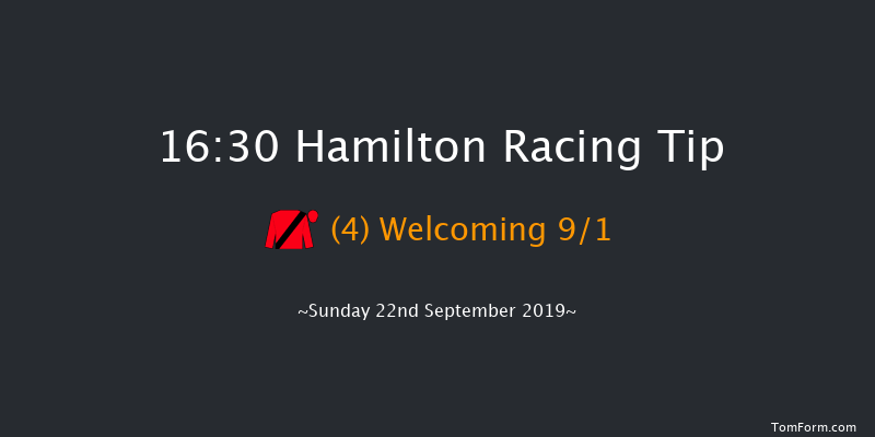 Hamilton 16:30 Handicap (Class 4) 8f Fri 30th Aug 2019