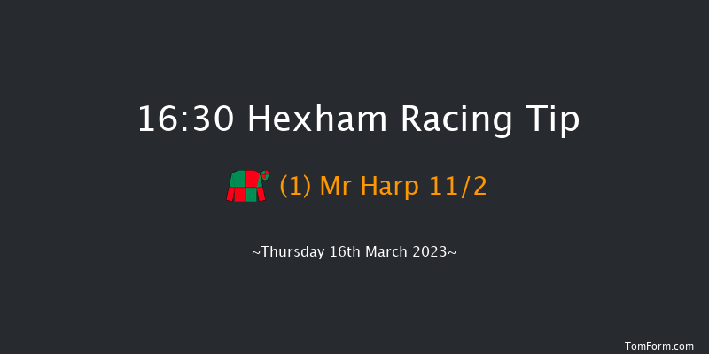 Hexham 16:30 Handicap Hurdle (Class 5) 23f Wed 7th Dec 2022