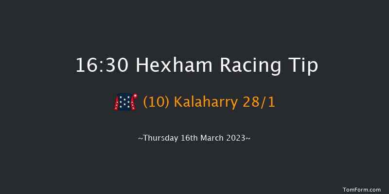 Hexham 16:30 Handicap Hurdle (Class 5) 23f Wed 7th Dec 2022