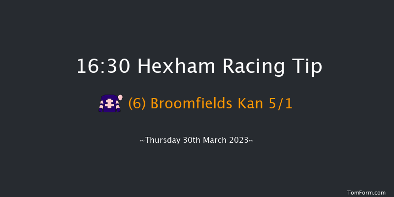 Hexham 16:30 Handicap Chase (Class 5) 20f Tue 28th Mar 2023