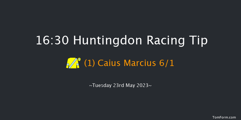 Huntingdon 16:30 Handicap Hurdle (Class 3) 25f Thu 11th May 2023