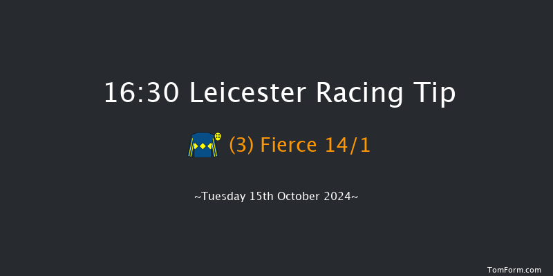 Leicester  16:30 Seller (Class 4) 7f Tue 8th Oct 2024
