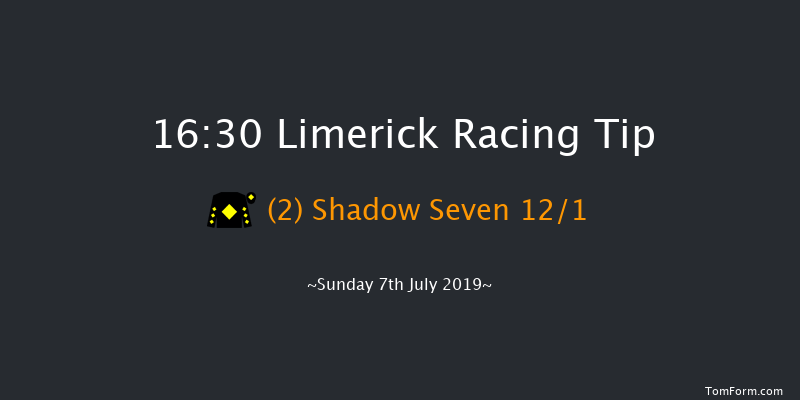 Limerick 16:30 Handicap 12f Thu 1st Jan 1970