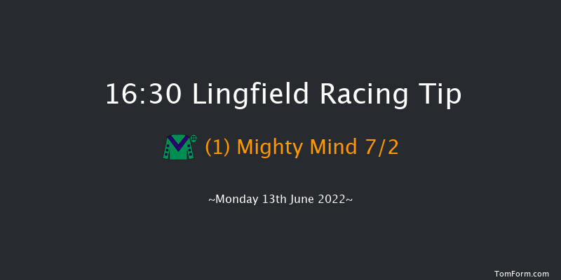 Lingfield 16:30 Handicap (Class 6) 10f Mon 6th Jun 2022