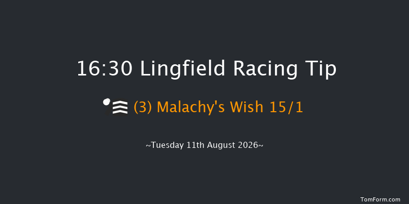 Lingfield 16-30 (Class 4) 7f Sat 8th Aug 2026