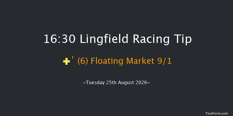 Lingfield 16-30 (Class 4) 10f Sat 22nd Aug 2026