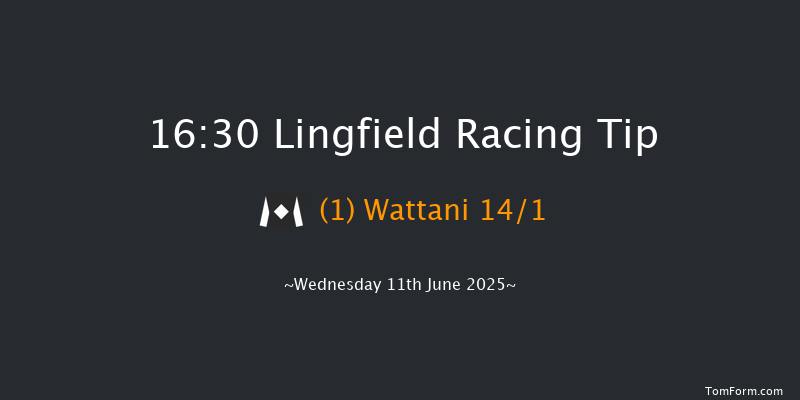 Lingfield 16-30 (Class 5) 7f Sat 7th Jun 2025