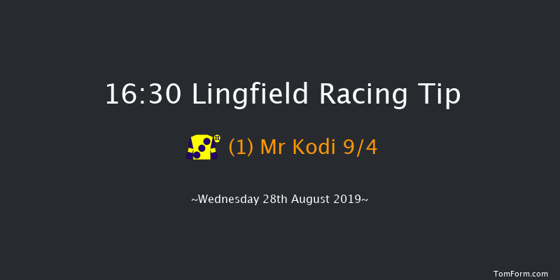 Lingfield 16:30 Handicap (Class 6) 7f Mon 19th Aug 2019