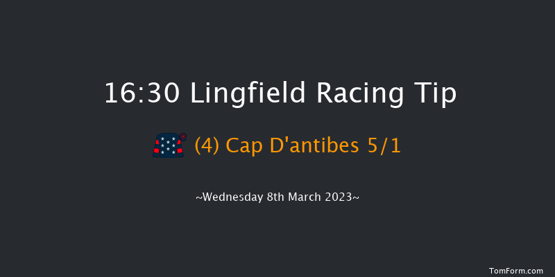 Lingfield 16:30 Handicap (Class 6) 8f Tue 7th Mar 2023