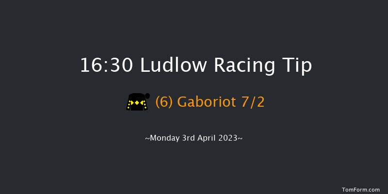 Ludlow 16:30 Hunter Chase (Class 4) 20f Thu 23rd Mar 2023