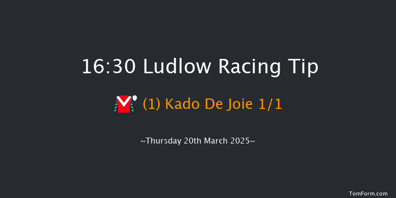 Ludlow  16:30 Handicap Hurdle (Class 4) 21f Thu 27th Feb 2025