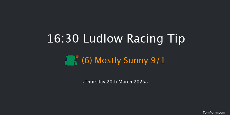 Ludlow  16:30 Handicap Hurdle (Class 4) 21f Thu 27th Feb 2025