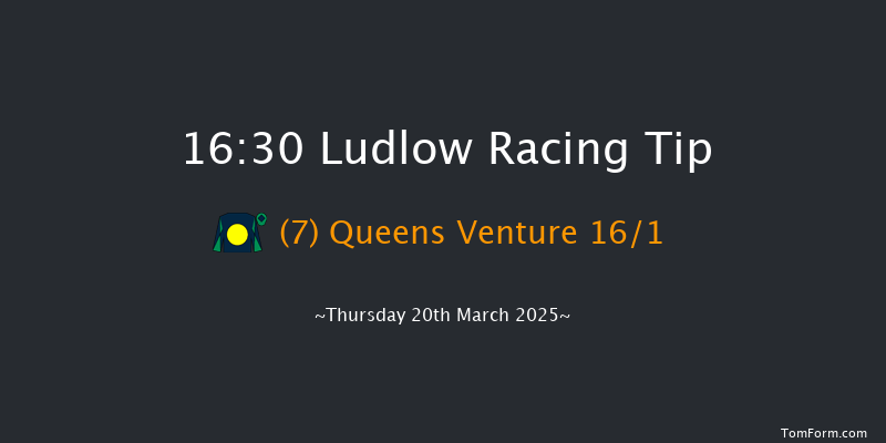 Ludlow  16:30 Handicap Hurdle (Class 4) 21f Thu 27th Feb 2025