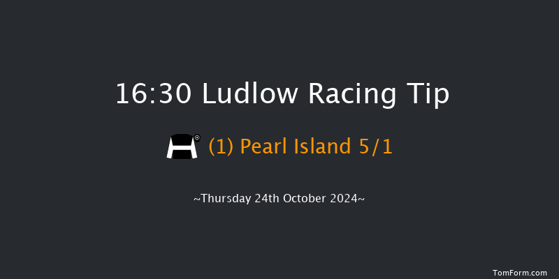 Ludlow  16:30 Handicap Hurdle (Class 5) 24f Wed 9th Oct 2024