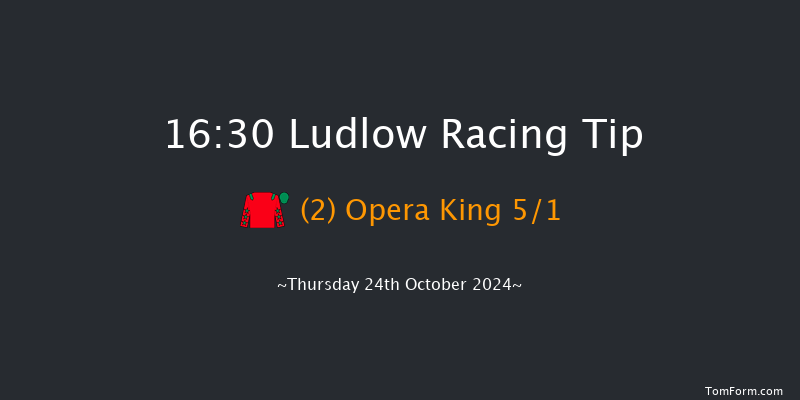 Ludlow  16:30 Handicap Hurdle (Class 5) 24f Wed 9th Oct 2024