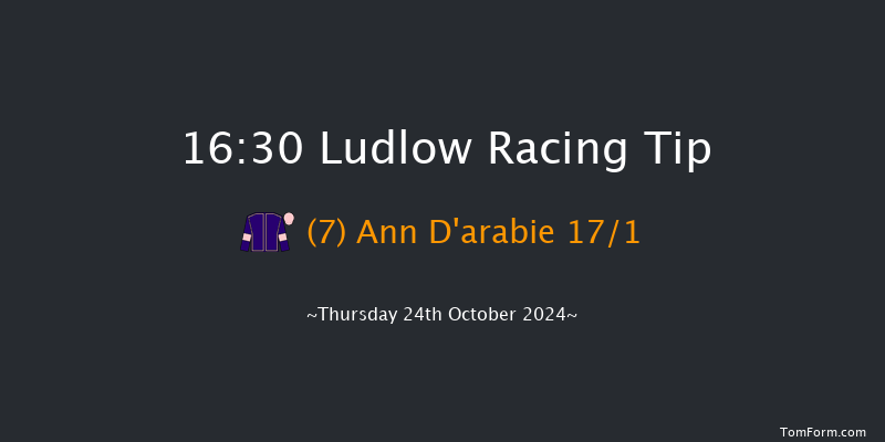 Ludlow  16:30 Handicap Hurdle (Class 5) 24f Wed 9th Oct 2024
